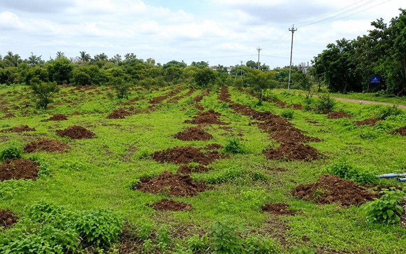3-3-3ft Pits Taken Before Rains