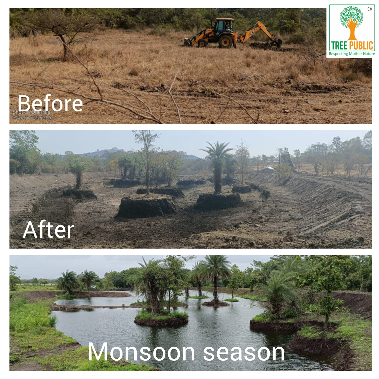 Eco Restoration