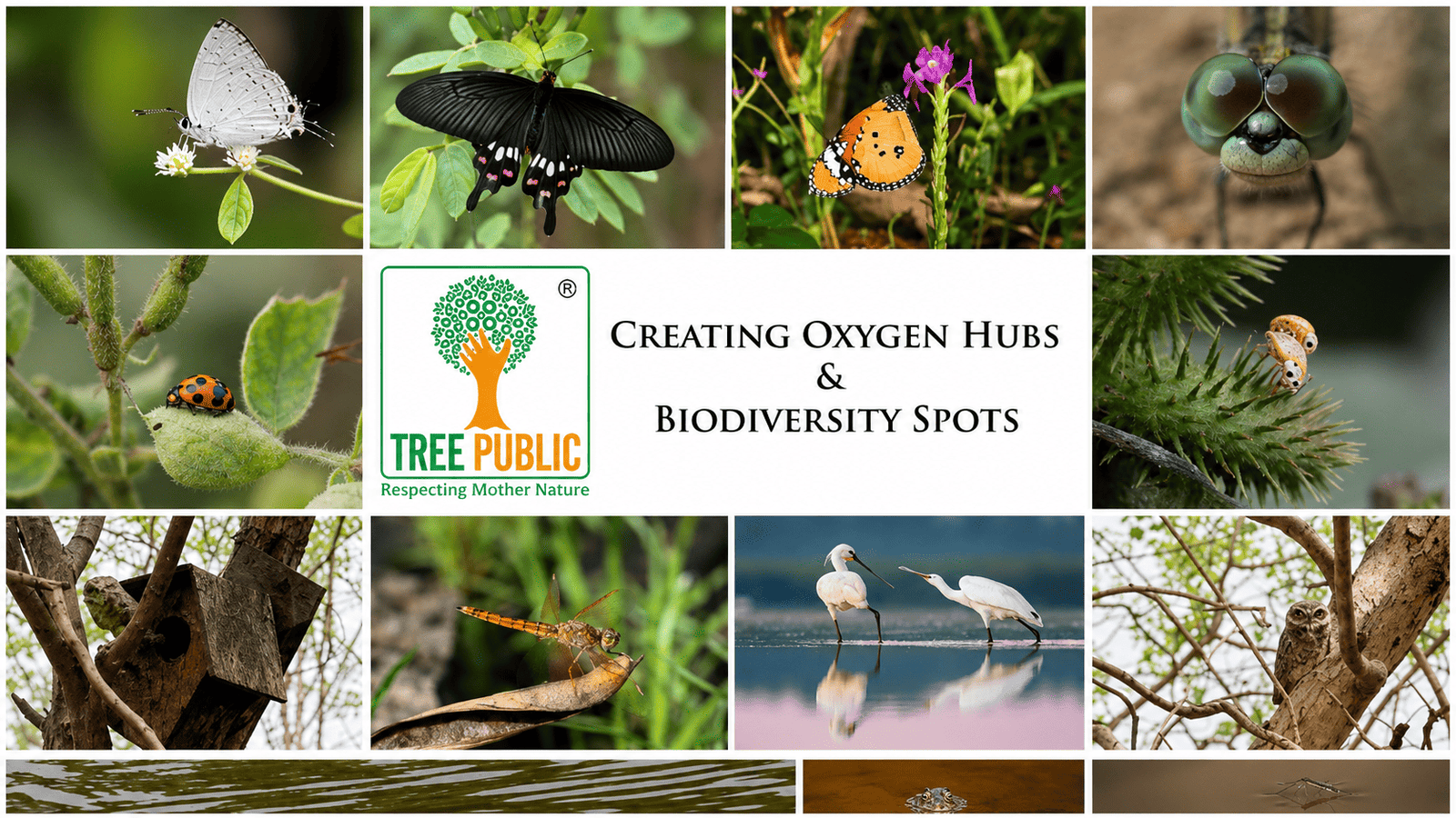 Biodiversity 2