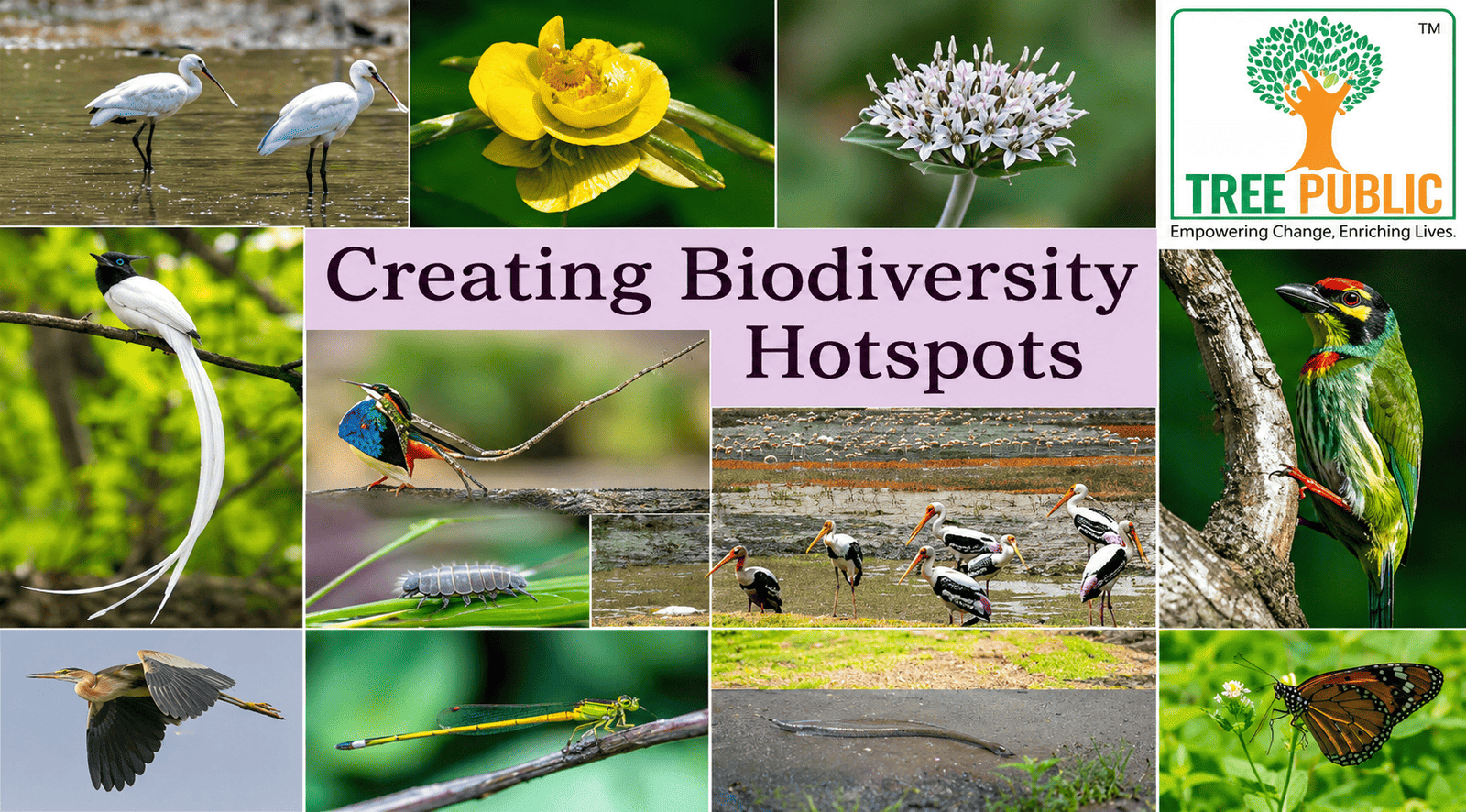 Biodiversity 1