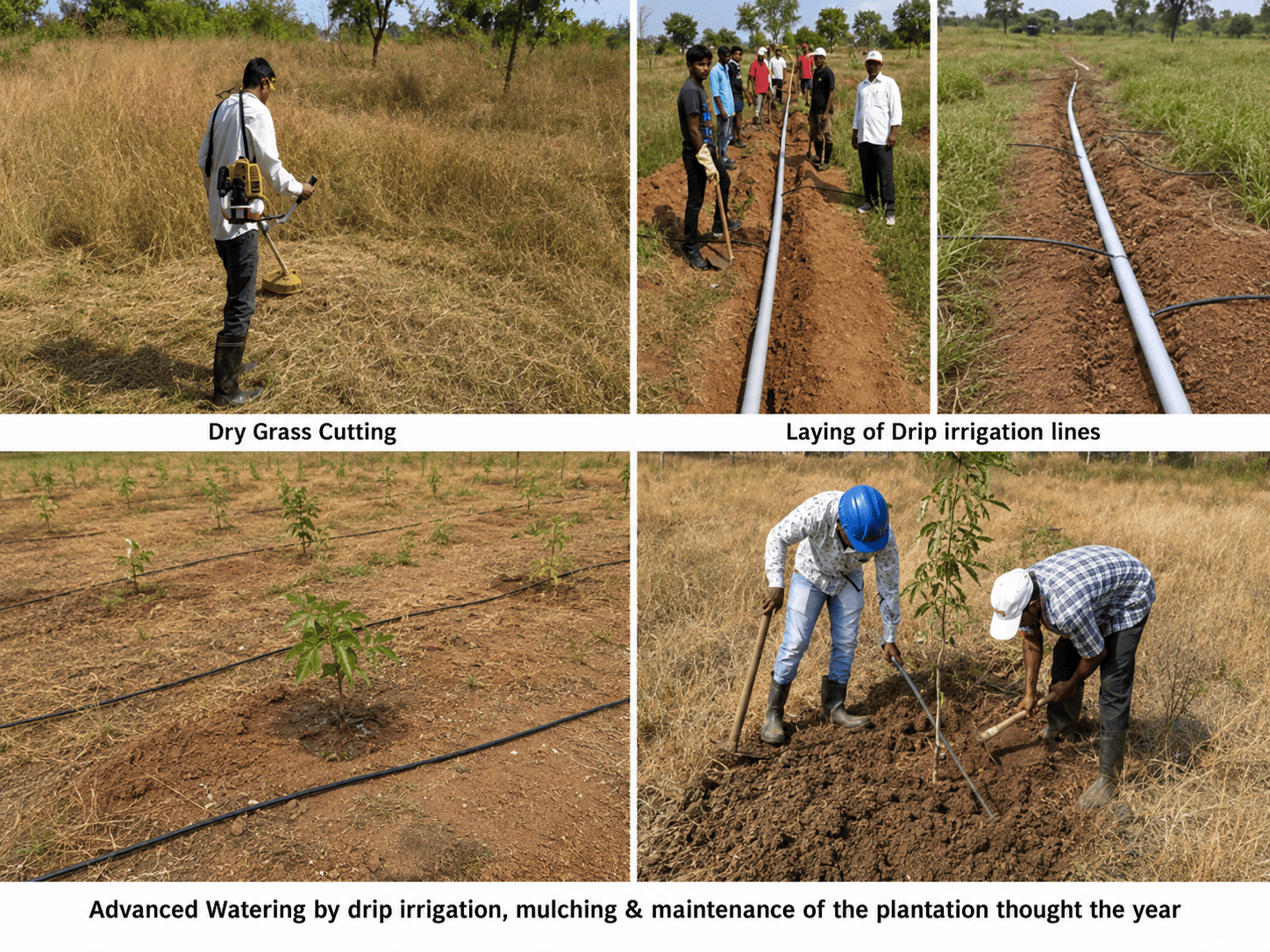 Systematic Watering
