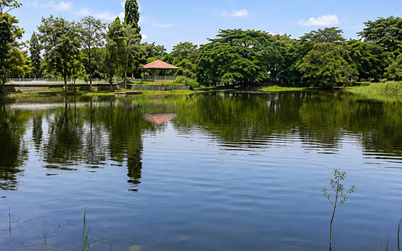 Water Conservation 3
