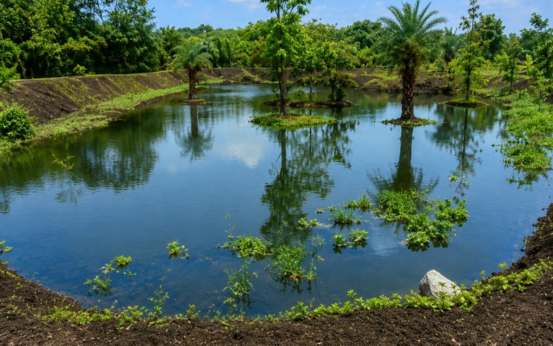 Water Conservation 4